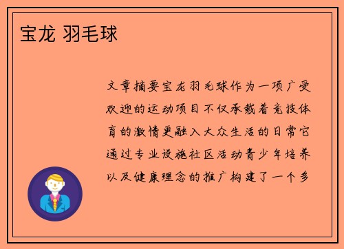 宝龙 羽毛球