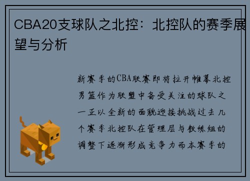 CBA20支球队之北控:北控队的赛季展望与分析
