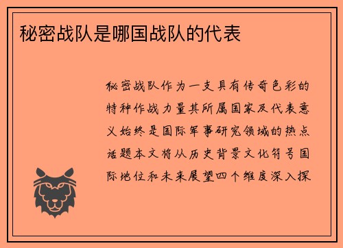 秘密战队是哪国战队的代表