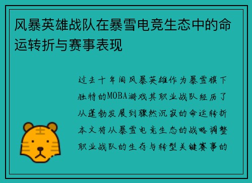 风暴英雄战队在暴雪电竞生态中的命运转折与赛事表现